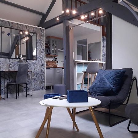 Loft Haut De Gamme Centre Montargis, Place De Parking, Local A Velos, Linge De Lits Et Serviettes, Coin Riviere Amenage, Hamac, Epicerie, Velos En Option, Tout Confort Jusqu'A 4 Voyageurs Dış mekan fotoğraf