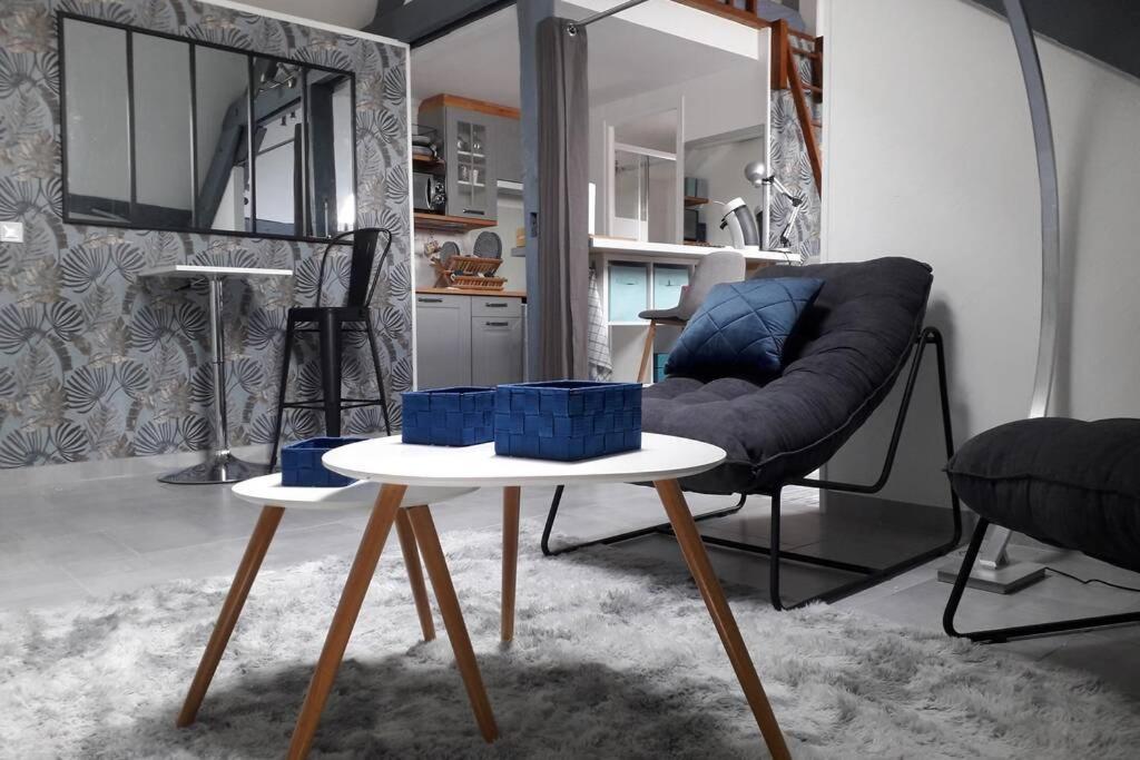 Loft Haut De Gamme Centre Montargis, Place De Parking, Local A Velos, Linge De Lits Et Serviettes, Coin Riviere Amenage, Hamac, Epicerie, Velos En Option, Tout Confort Jusqu'A 4 Voyageurs Dış mekan fotoğraf