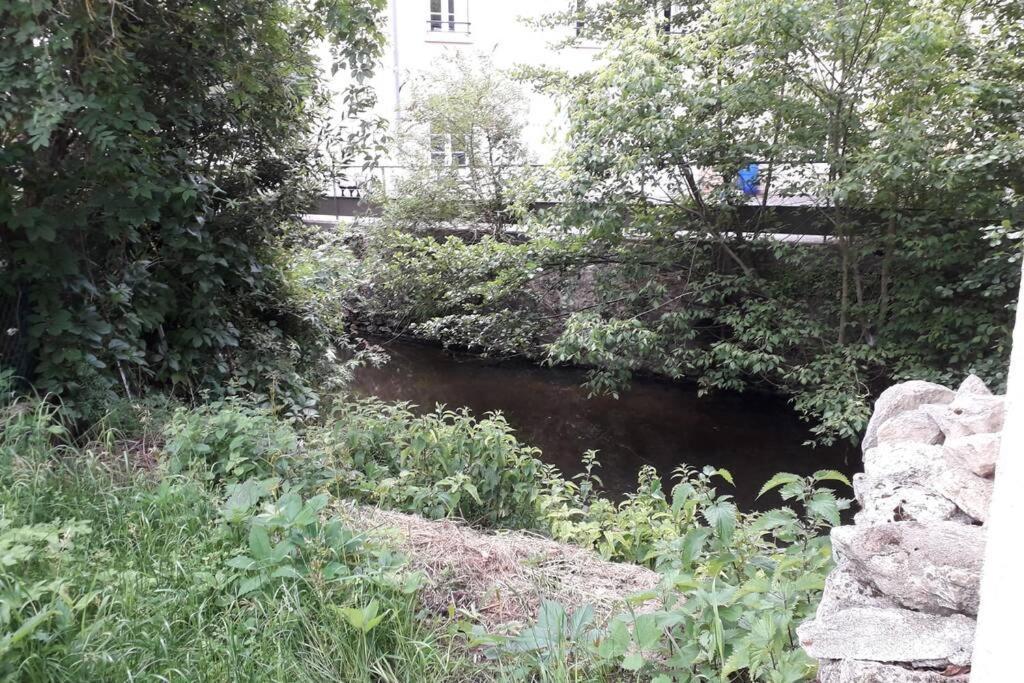 Loft Haut De Gamme Centre Montargis, Place De Parking, Local A Velos, Linge De Lits Et Serviettes, Coin Riviere Amenage, Hamac, Epicerie, Velos En Option, Tout Confort Jusqu'A 4 Voyageurs Dış mekan fotoğraf