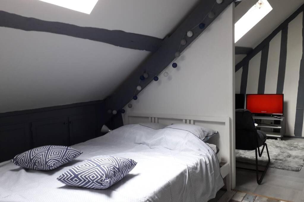 Loft Haut De Gamme Centre Montargis, Place De Parking, Local A Velos, Linge De Lits Et Serviettes, Coin Riviere Amenage, Hamac, Epicerie, Velos En Option, Tout Confort Jusqu'A 4 Voyageurs Dış mekan fotoğraf