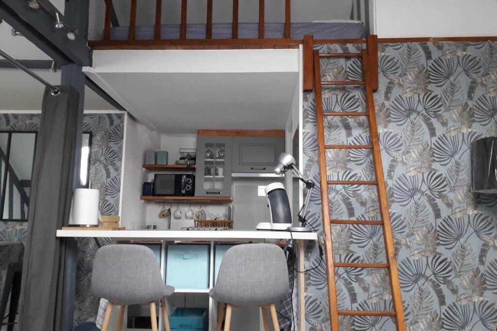 Loft Haut De Gamme Centre Montargis, Place De Parking, Local A Velos, Linge De Lits Et Serviettes, Coin Riviere Amenage, Hamac, Epicerie, Velos En Option, Tout Confort Jusqu'A 4 Voyageurs Dış mekan fotoğraf