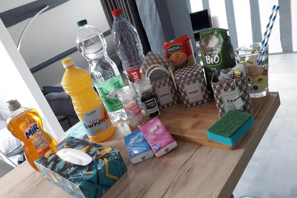 Loft Haut De Gamme Centre Montargis, Place De Parking, Local A Velos, Linge De Lits Et Serviettes, Coin Riviere Amenage, Hamac, Epicerie, Velos En Option, Tout Confort Jusqu'A 4 Voyageurs Dış mekan fotoğraf