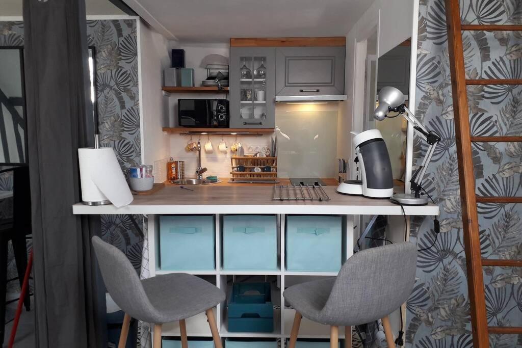 Loft Haut De Gamme Centre Montargis, Place De Parking, Local A Velos, Linge De Lits Et Serviettes, Coin Riviere Amenage, Hamac, Epicerie, Velos En Option, Tout Confort Jusqu'A 4 Voyageurs Dış mekan fotoğraf