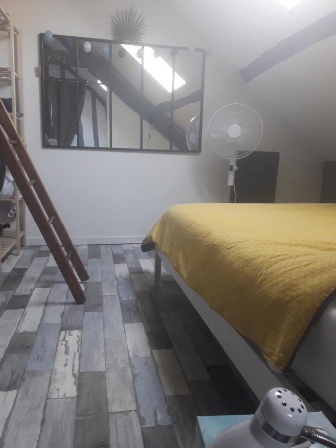 Loft Haut De Gamme Centre Montargis, Place De Parking, Local A Velos, Linge De Lits Et Serviettes, Coin Riviere Amenage, Hamac, Epicerie, Velos En Option, Tout Confort Jusqu'A 4 Voyageurs Dış mekan fotoğraf