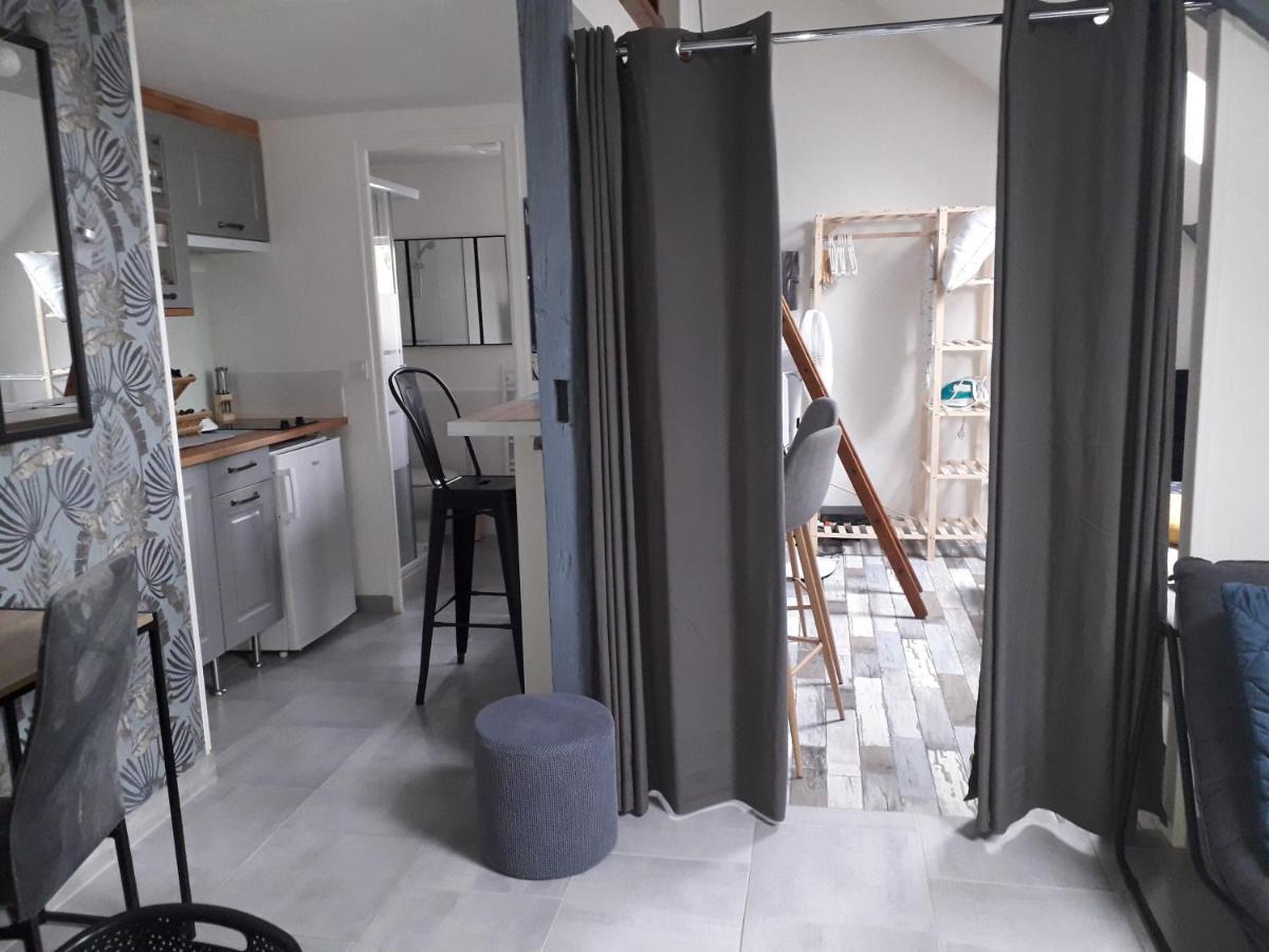 Loft Haut De Gamme Centre Montargis, Place De Parking, Local A Velos, Linge De Lits Et Serviettes, Coin Riviere Amenage, Hamac, Epicerie, Velos En Option, Tout Confort Jusqu'A 4 Voyageurs Dış mekan fotoğraf