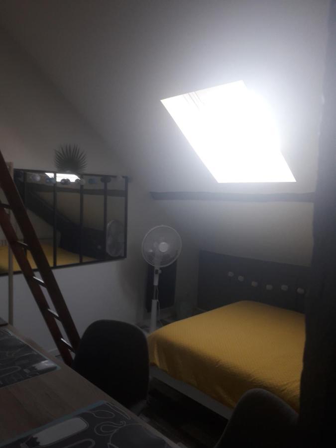 Loft Haut De Gamme Centre Montargis, Place De Parking, Local A Velos, Linge De Lits Et Serviettes, Coin Riviere Amenage, Hamac, Epicerie, Velos En Option, Tout Confort Jusqu'A 4 Voyageurs Dış mekan fotoğraf