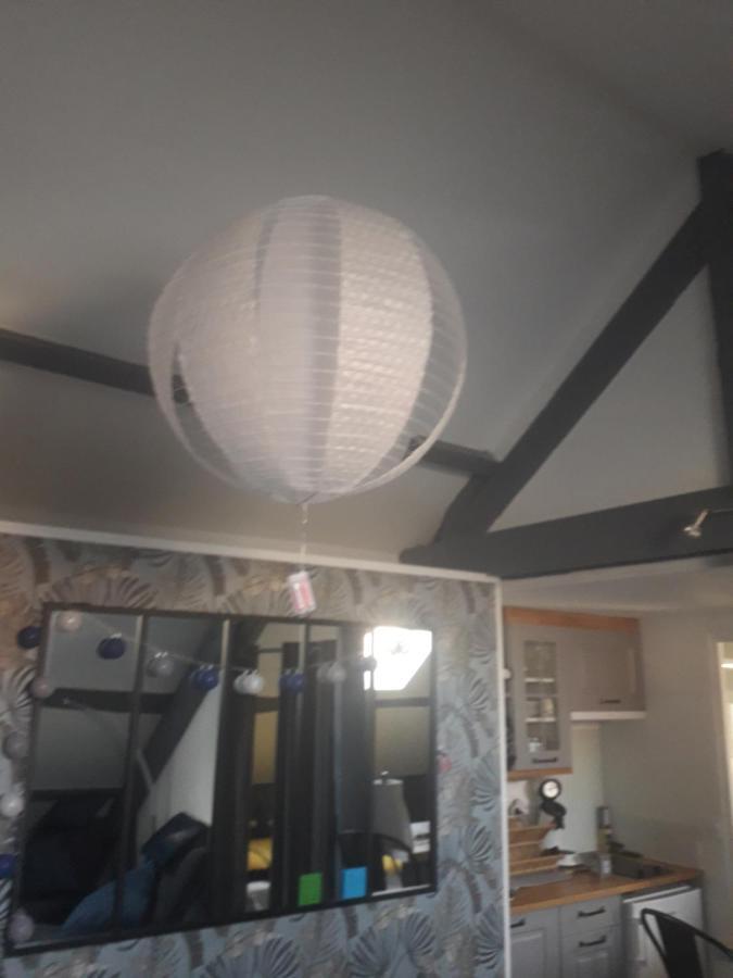 Loft Haut De Gamme Centre Montargis, Place De Parking, Local A Velos, Linge De Lits Et Serviettes, Coin Riviere Amenage, Hamac, Epicerie, Velos En Option, Tout Confort Jusqu'A 4 Voyageurs Dış mekan fotoğraf